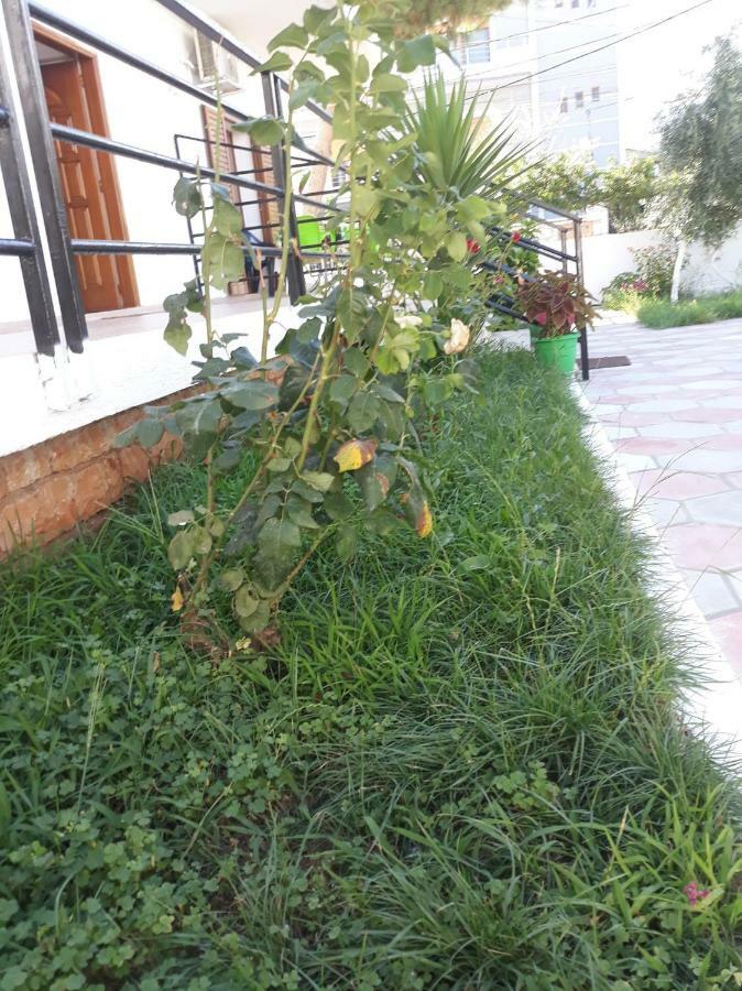 Guesthouse Sueda Ksamil Exterior foto